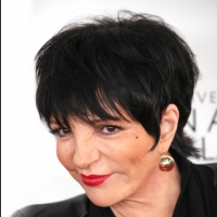 Liza Minnelli Backs Out of 8/4 Provincetown Concert on Doctor's Orders Video