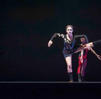 Photo Flash: Sneak Peek at NIU's THE NORTHERN STARS OF DANCE Concert
