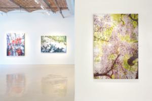 Photo Flash: Gallery Henoch Presents a Spotlight on Susan Goldsmith and Janet Rickus Image