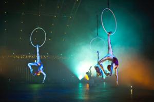 Photo Coverage: Cirque Du Soleil QUIDAM 