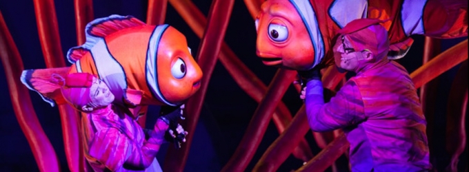 Skip the Coasters- Watch a Theme Park Performance Roundup! Video