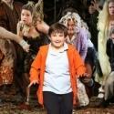 Review Roundup: The Public Theater's INTO THE WOODS in Central Park - All the Reviews!