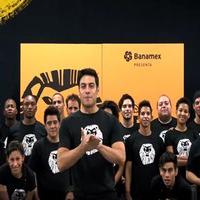 STAGE TUBE: THE LION KING Companies from Around the World Celebrate 80 Million…