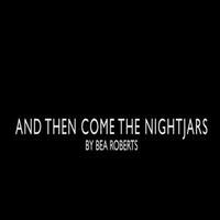 STAGE TUBE: AND THEN COME THE NIGHTJARS Trailer! Video