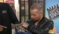 VIDEO: Joey Lawrence Surprised with Different Kind of ‘Joey’ on TODAY  Video