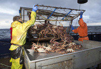 VIDEO: Sneak Peek - 'First Timers' on Tonight's DEADLIEST CATCH