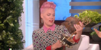 VIDEO: Ellen DeGeneres Surprises Pink with an Emmy Award on ELLEN 