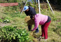 VIDEO: Watch Now - FYI Premieres New Documentary Special FARMING DETROIT