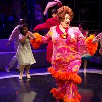 Photo Flash: First Look- HAIRSPRAY at Chance Theater Video