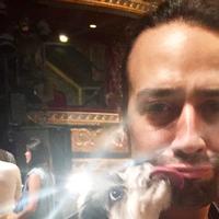 Photo Flash: HAMILTON Gets a Visit from Tinkerbelle the Dog Video