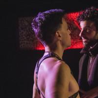 Photo Flash: First Floor Theater's ANIMALS COMMIT SUICIDE Video