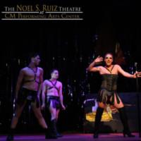Photo Flash: PRISCILLA QUEEN OF THE DESERT Speeds into The Noel S. Ruiz Theatre Video