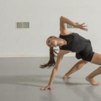 Photo Flash: Vanessa Long Dance Company Presents GREEN APPLES Video