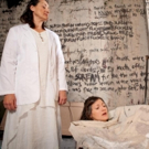 BWW Review: 4.48 PSYCHOSIS Haunts Carnegie Stage Video