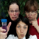 International Competition Features Three Veteran Improv Teams for Fast-Paced Comedy