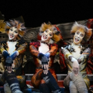 BWW Review: CATS Are Prowling In Adelaide Again Video