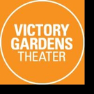 Victory Gardens Sets Cast of HILLARY AND CLINTON World Premiere Video