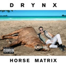 New Album by DRYNX (Ariel Pink, Lansing-Dreiden) Out Today Video