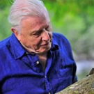 Smithsonian to Premiere 7 Straight Weeks of Sir David Attenborough Specials This April