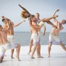 Photo Flash: 2015 Fire Island Dance Festival Breaks Records with Nearly $545K Raised Video