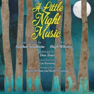 BWW Review: A LITTLE NIGHT MUSIC is Superb, Sublime Sondheim Video