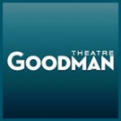 Zimmerman-Helmed WONDERFUL TOWN, UNCLE VANYA & More Set for Goodman's Expanded 2016-1 Video