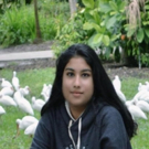 BWW Blog: Nanjibah Khan - A New Musical On the Rise