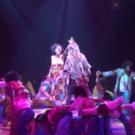 STAGE TUBE: They Got Life! Watch Highlights from HAIR at Music Circus Video