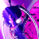 THE DONKEY SHOW Returning to London This Summer Video