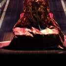 Durham's DPAC Announces 2016-17 Season, Including THE KING AND I, SOMETHING ROTTEN!…