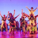 Annual DanceAfrica Festival Begins Today at BAM Video