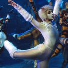 BWW Review: CATS Opens In Sydney To Share The Whimsy of T.S Elliot's Poems and Andrew Video