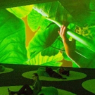 New Museum Presents Upcoming Season's Exhibition Schedule Video