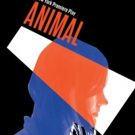 Atlantic Theater's ANIMAL, Starring Rebecca Hall, Finds Full Company Video