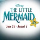Cast Announced for Disney's THE LITTLE MERMAID JR. at Stages Theatre Company Video