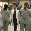 BWW Recap: GREY'S ANATOMY 'Worms' its Way Into Our Hearts and Tear Ducts