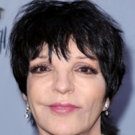 Liza Minnelli Cancels National Tour Due to Health Concerns