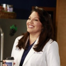 Tony Winner Sara Ramirez Exits ABC's GREY'S ANATOMY After 10 Seasons