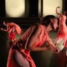 BWW Reviews: CHERYLYN LAVAGNINO DANCE Flourishes at Danspace