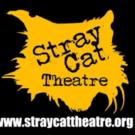 Arizona Theatre Company Adds Stray Cat Theatre's SEX WITH STRANGERS to 2015-16 Season Video