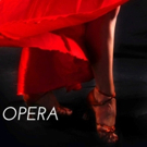 Opera Grand Rapids to Host Tango-Themed Gala Next Week Video