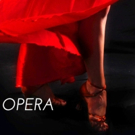 Opera Grand Rapids to Host Tango-Themed Gala Next Week
