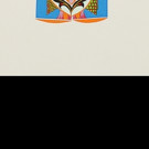 Pakistani Visual Artist Mahwish Chishty to Design Drone Art for Company of Fools Prod