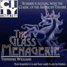 BWW Review: Lovely Dreamlike Production of THE GLASS MENAGERIE at City Theatre