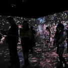 Saatchi Gallery Announces Date Extension for FLUTTER FOR BUTTERFLIES BEYOND BORDERS,  Video