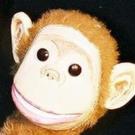 The Great AZ Puppet Theater Presents PIRATE PARRRRRTY and More This Summer