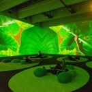 The New Museum to Display Pipilotti Rist Exhibit, 10/26 Video
