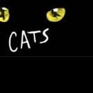 CATS Coming to Adelaide in 2016 Video