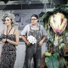 BWW Review: LITTLE SHOP OF HORRORS Is Frightfully Good Video