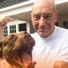 Sir Patrick Stewart Partners with ASPCA for National Dog Fighting Awareness Day Campa Video